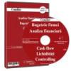Analiza financiara, Bugetele firmei, Cash flow, Lichiditati, Controlling CD